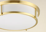 17" LED 3 Light Flush Mount , 120W, 120V, Available in Black, Satin Brass, or Satin Nickel