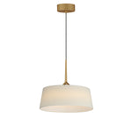 Paramount 16" LED Pendant, Natural Aged Brass or Black