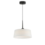 Paramount 16" LED Pendant, Natural Aged Brass or Black