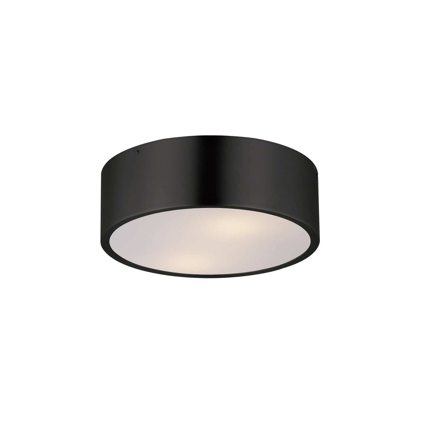 Tommy 12"  2-Light Surface Mount Ceiling Light