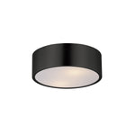 Tommy 12"  2-Light Surface Mount Ceiling Light