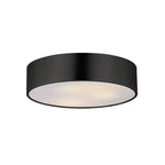 Tommy 16"  3-Light Surface Mount Ceiling Light