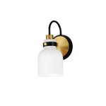 Milk 1-Light Wall Sconce