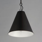 Veritas 12" 1-Light Pendant, Chestnut Bronze