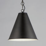 Veritas 12" 1-Light Pendant, Chestnut Bronze