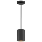 LED Pendant Cylinder Light, 800 Lumens, 10W, 3000K, 120V, Matte Black, Matte White, or Satin Finish, Pilson Collection