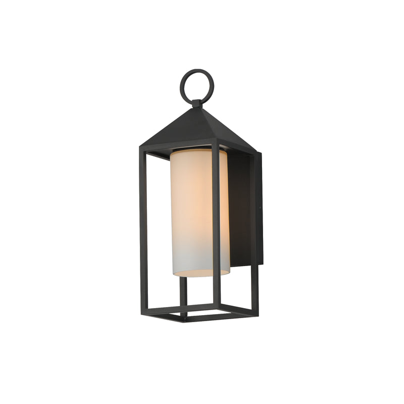 Aldous 1-Light Outdoor Sconce