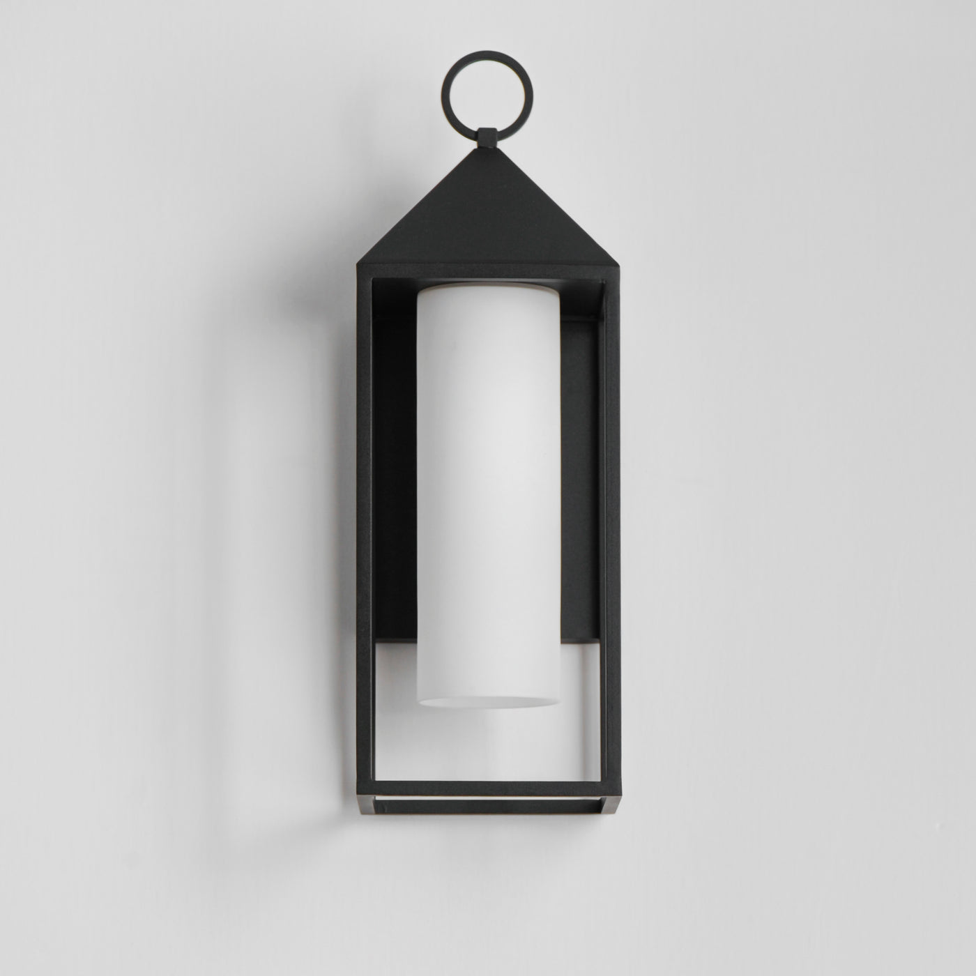 Aldous 1-Light Large Outdoor Sconce