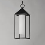 Aldous 1-Light Outdoor Pendant, Black