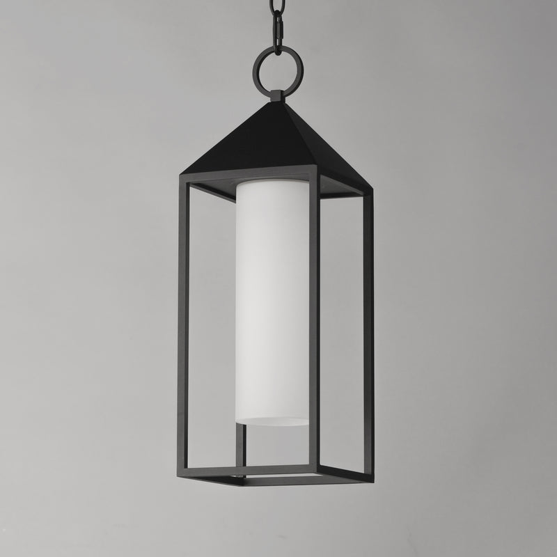 Aldous 1-Light Outdoor Pendant, Black