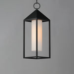 Aldous 1-Light Outdoor Pendant, Black