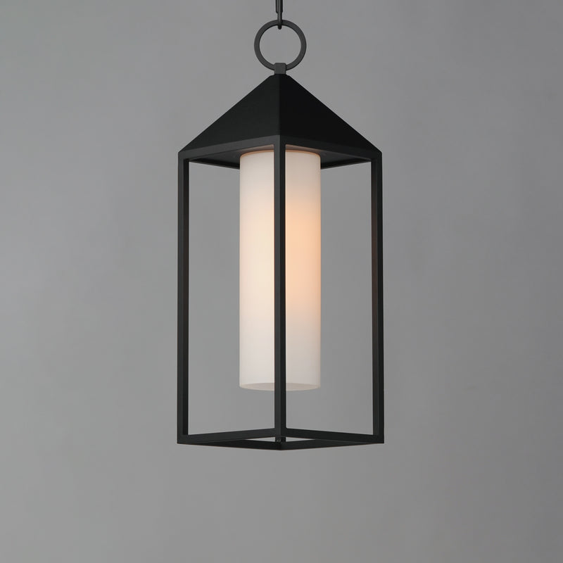 Aldous 1-Light Outdoor Pendant, Black