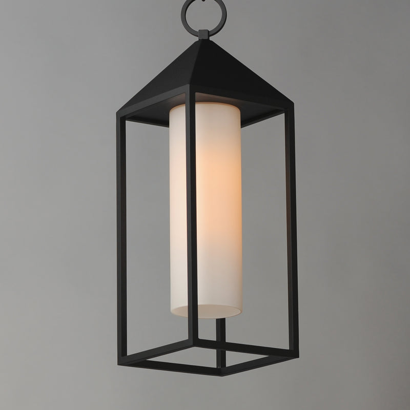 Aldous 1-Light Outdoor Pendant, Black