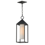 Aldous 1-Light Outdoor Pendant, Black