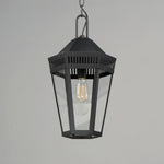 Oxford Outdoor 1-Light Pendant, Black