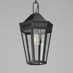 Oxford Outdoor 1-Light Pendant, Black