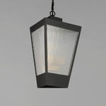 Triform 14" LED Outdoor Pendant, Black / Antique Brass