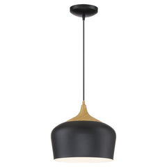 LED Pendant, 800 Lumens, Black with Wood Grain Finish, 120V