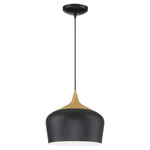 LED Pendant, 800 Lumens, Black with Wood Grain Finish, 120V