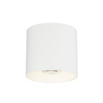 Stout RD 120-277V Indoor/Outdoor Flush Mount Ceiling Light