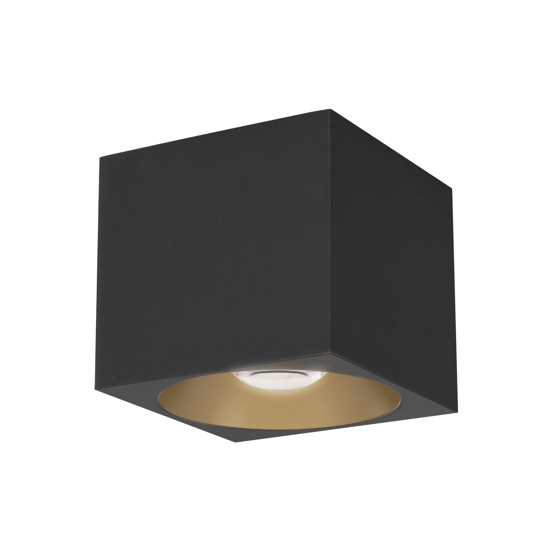 Stout 120-277V Indoor/Outdoor Flush Mount