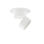 Swinger Mini Adjustable LED Flush Mount