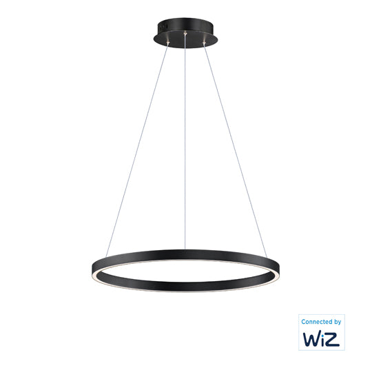 24" Hover LED Pendant, 2,000 Lumens, 27W, 120V, 2700-6000K CCT, Black or Gold Finish