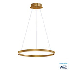 24" Hover LED Pendant, 2,000 Lumens, 27W, 120V, 2700-6000K CCT, Black or Gold Finish