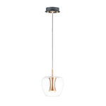 Newton 1-Light LED Pendant, 630 Lumens, 9W, 3000K CCT, 120V, Black/Gold Finish