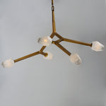 Blossom 5-Light LED Pendant, 2,500 Lumens, 20W, 3000K CCT, 120V, Black or Natural Aged BrassFinish