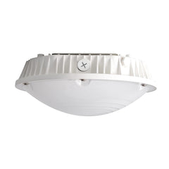 LED Canopy Light, 10,800 Lumens, Wattage Selectable, 5000K, 120-277V