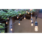 24FT LED String Light; Includes 12-Light Filament LED bulbs With Plug, 12W, 2700K, 120V