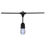 48FT, LED String Light; 15-S14 lamps, 12 Volts, RGBW with Infrared Remote