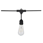 24Ft, LED String Light, 12 Vintage ST19 bulbs Included, 120 Volts