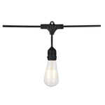 24Ft, LED String Light, 12 Vintage ST19 bulbs Included, 120 Volts