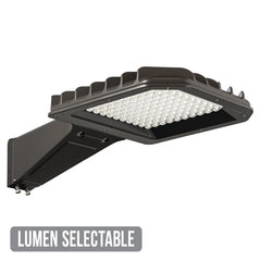 Eagle Series LED Large Area/Parking Lot Light, 24,227 Lumen Max, 4500K, Type 5, Bronze Finish, 120-277V or 347-480V