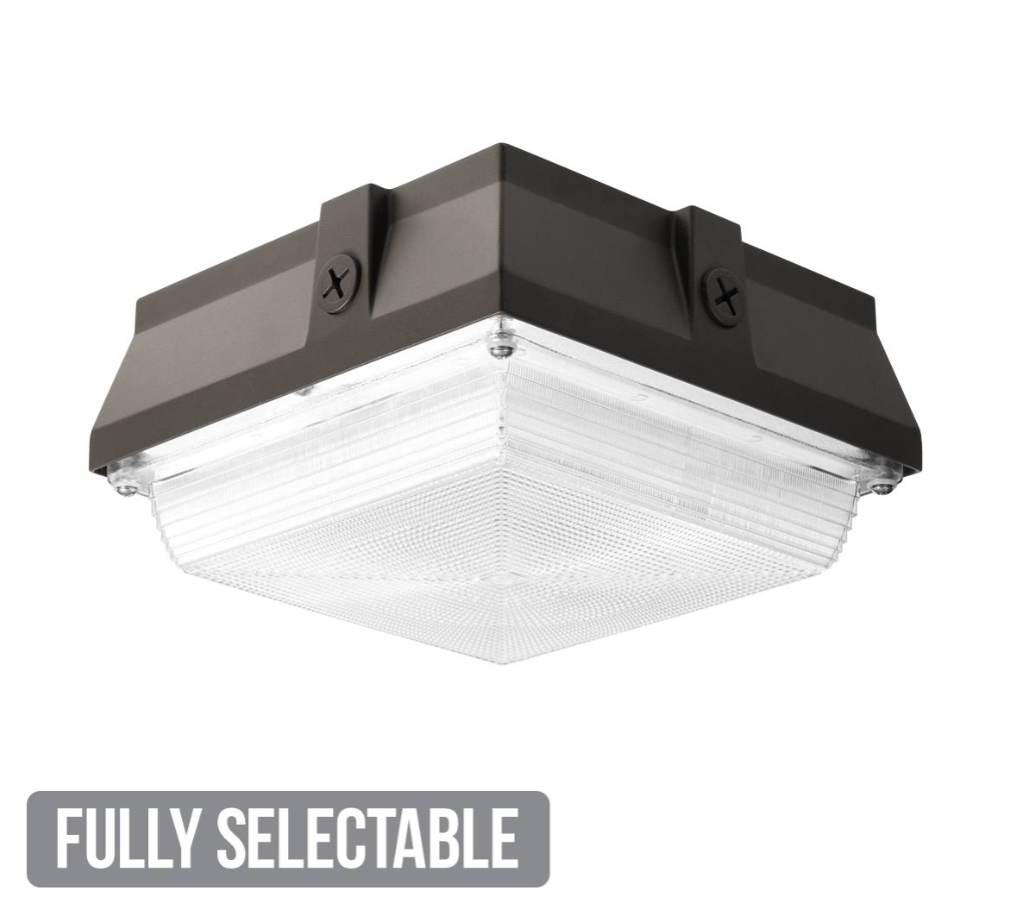 Classic 8" Vandal Canopy Light, 4,567 Lumen Max, Wattage and CCT Selectable, 120-277V