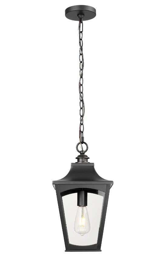 Curry 1-Light Outdoor Hanging Lantern Powder Coated Black