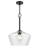 Tulip Pendant Light, Clear Glass,  Morbelle Collection