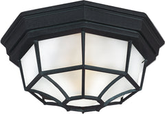 Crown Hill 2-Light Outdoor Ceiling Mount