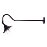 Plaza Solar RLM Light with Adjustable Gooseneck Arm