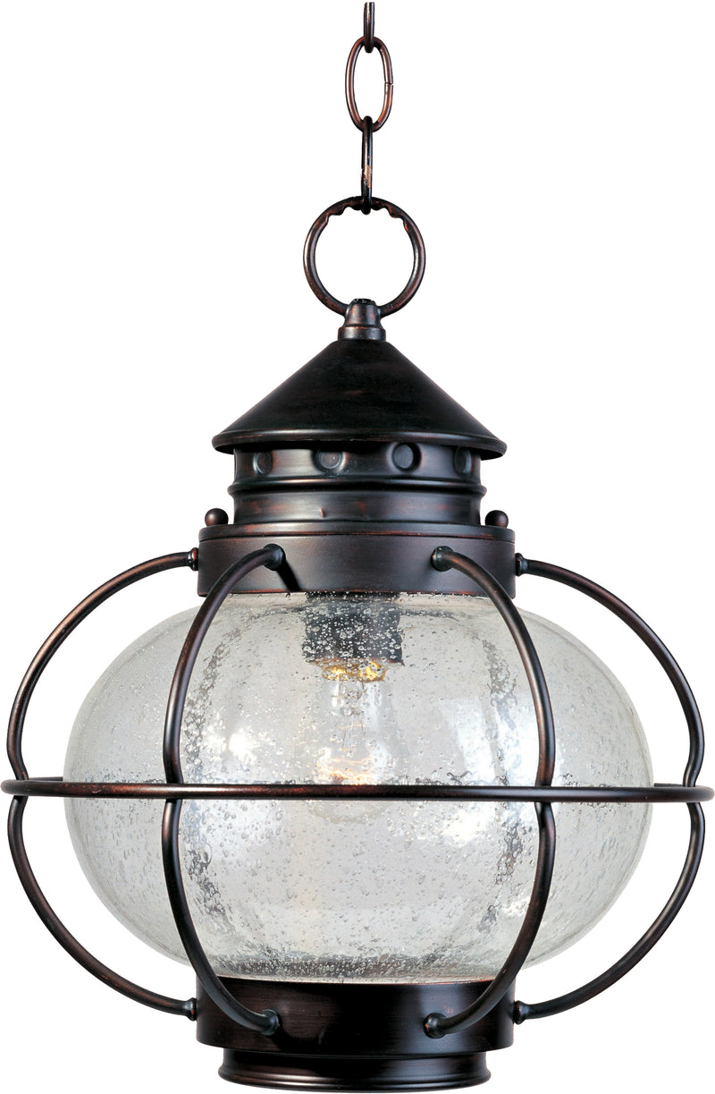 Portsmouth 1-Light Outdoor Hanging Lantern