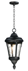 Sentry 1-Light Outdoor Hanging Pendant