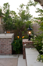 Carriage House DC 3-LT Outdoor Pole/Post Lantern