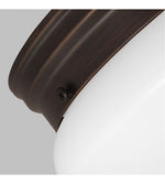 Webster 2 Light 10" Bronze Ceiling Flush Mount Ceiling Light