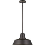 Barn Light 1 Light 14" Black Outdoor Pendant