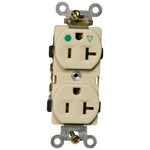 Isolated Ground Duplex Receptacle