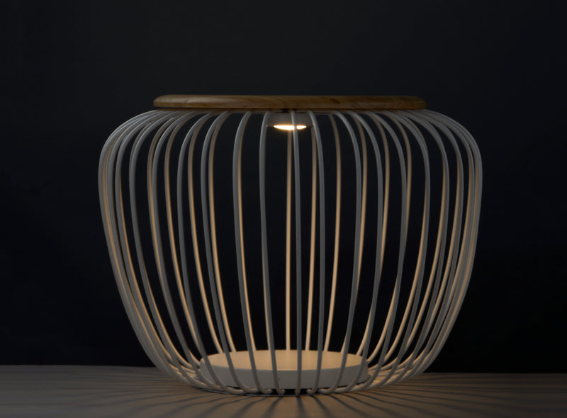  Cage Floor Lamp E20578-WTNW 