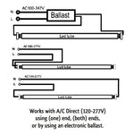 12 PK 18 Watt 4' LED T8 LED Glass Tube, A/C Direct or Ballast Compatible, Clear or Frosted Lens