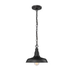 Millennium Lighting 1 Light Outdoor Hanging Lantern (Available in Galvanized, Powder Coat Black, or Powder Coat Bronze Finishes)